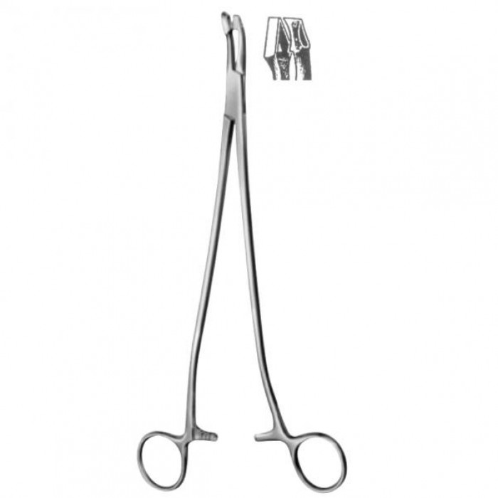 Thoms-Gaylor  Uterine Forceps