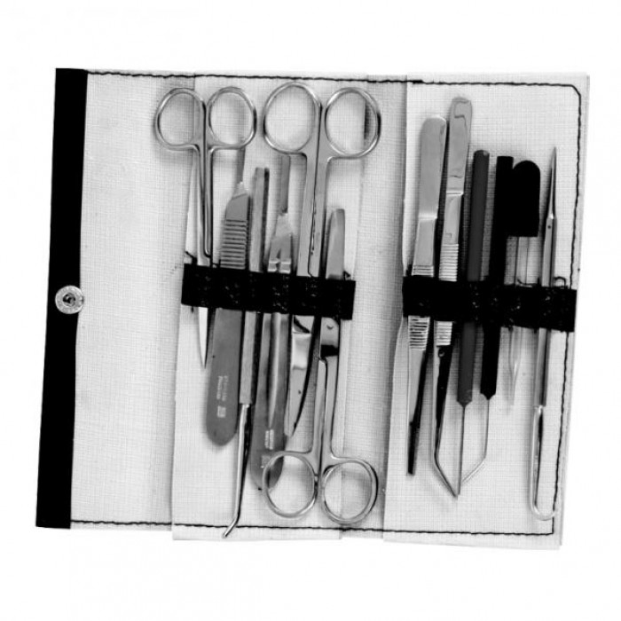 Dissecting Set