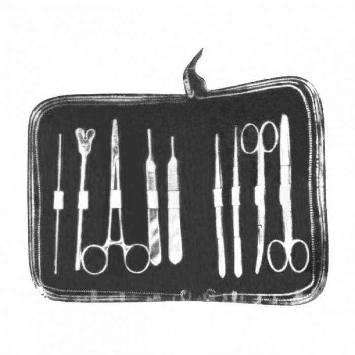 Dissecting Set