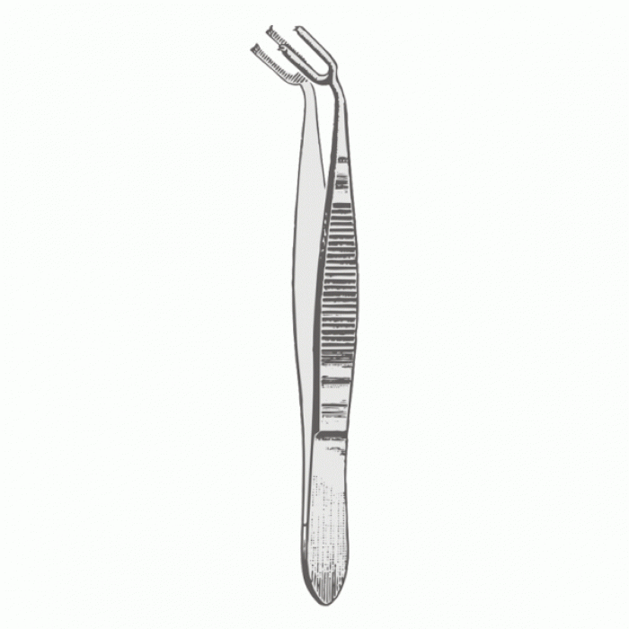 King Forceps