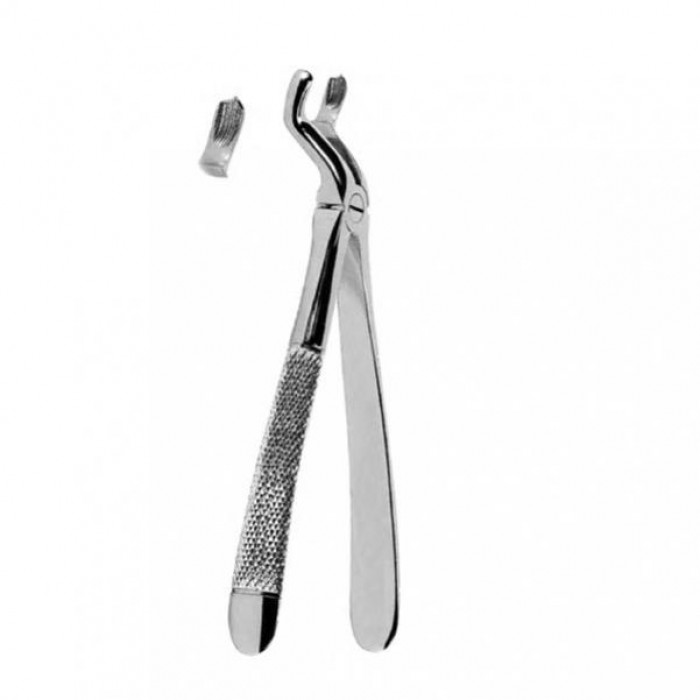 Upper Third Molars, Left