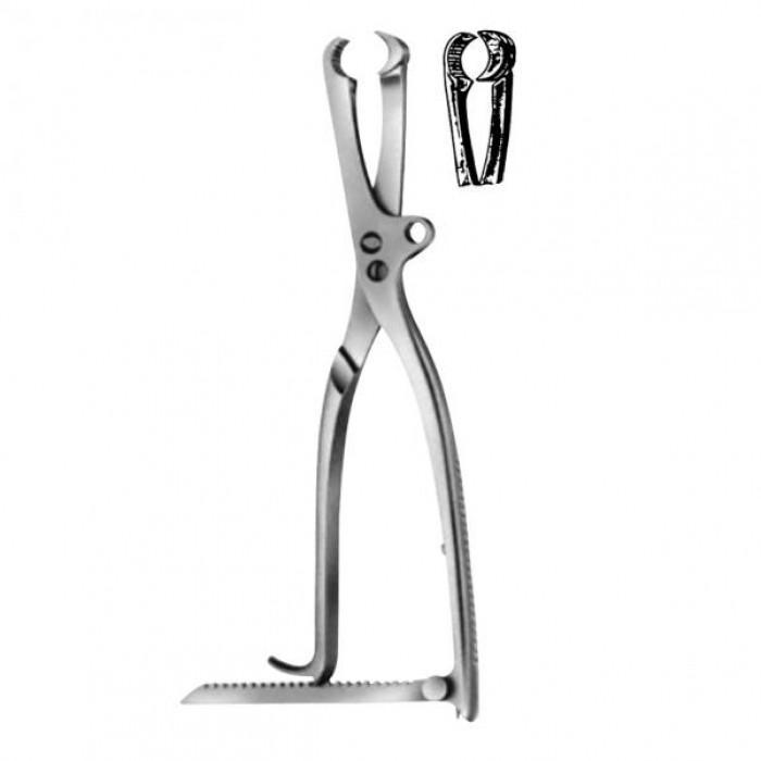 Lambotte Bone  Holding Forceps