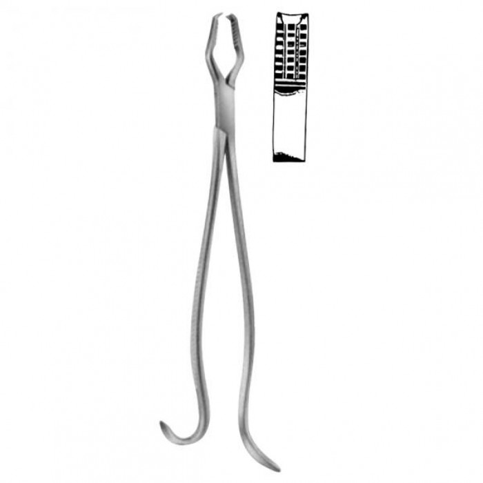 Lane Bone  Holding Forceps