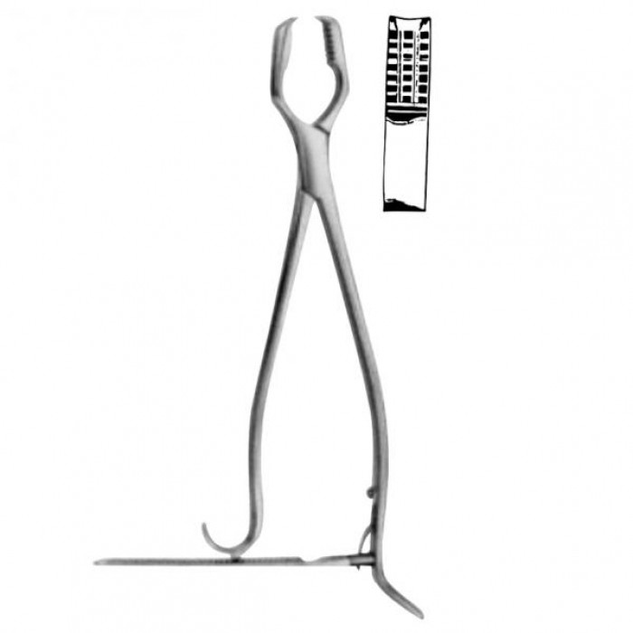 Lane Bone  Holding Forceps