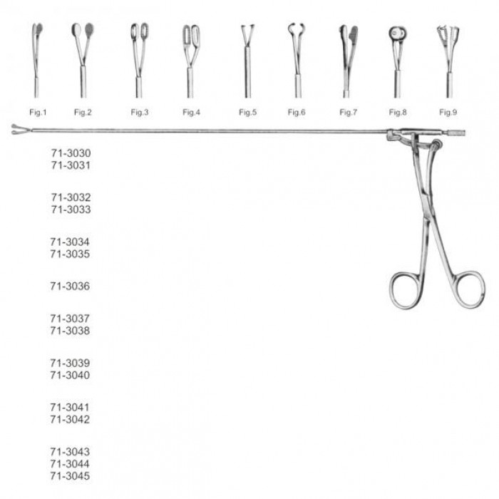 Bronchial and Esophageal Instruments 