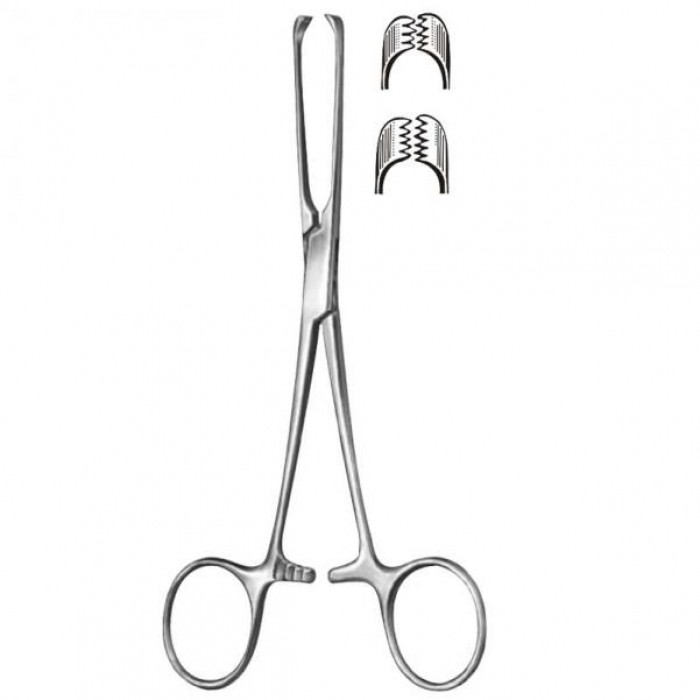 Allis Tissue Forceps