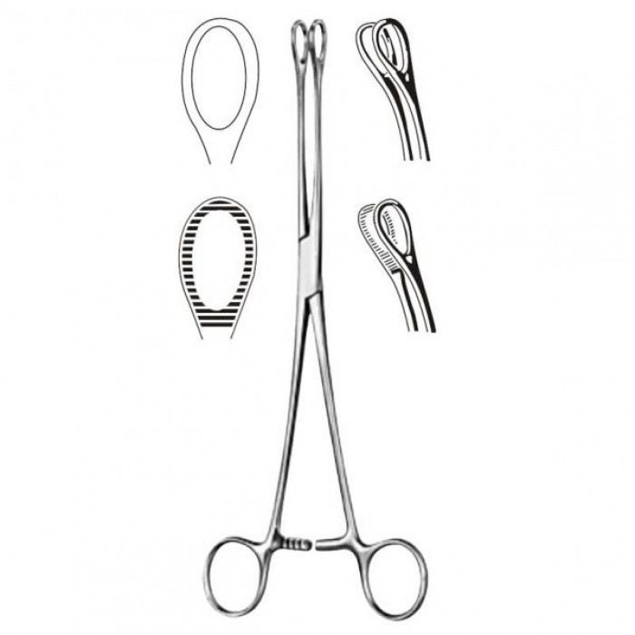 Foerster Sponge Forceps