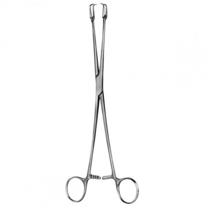 SchrÃ¶der Vulsellum Forceps